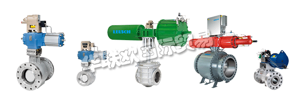 通過LEUSCH的生產(chǎn)計劃，客戶隨時了解其閥門的制造和測試過程。