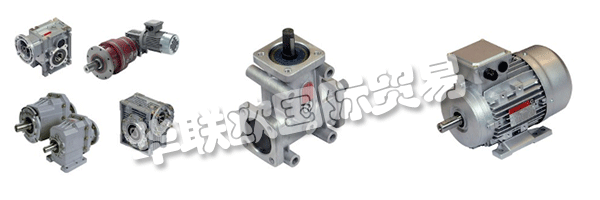 財(cái)產(chǎn)的意愿都是維持和鞏固集團(tuán)的領(lǐng)導(dǎo)地位CHIARAVALLI，