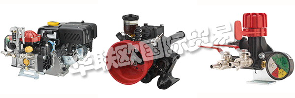 這ANNOVI REVERBERI提出了他多年，因為它開始收緊與認為真正的合作伙伴，