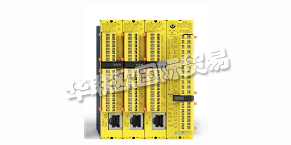 DINA，從友好的鄰里地下室創(chuàng)業(yè)到創(chuàng)新領(lǐng)導(dǎo)者。