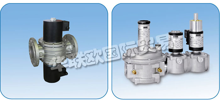 意大利ECONEX公司主要供應(yīng)：意大利ECONEX閥門,ECONEX電動執(zhí)行器，旋轉(zhuǎn)執(zhí)行器，電磁閥，蝶閥，球閥，調(diào)節(jié)閥，氣體過濾器，接頭，軟管，壓力開關(guān)，變壓器，壓力表，渦輪燃氣表等產(chǎn)品。