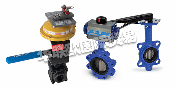 美國(guó)STRAHMAN閥門產(chǎn)品描述(STRAHMAN閥門產(chǎn)品功能和選項(xiàng))