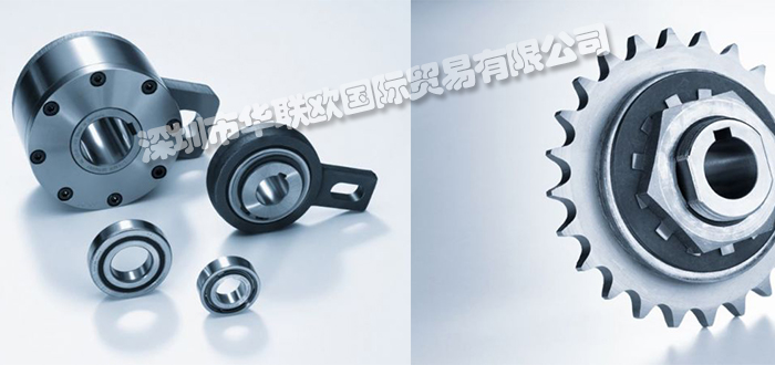 德國(guó)WALTHER FLENDER聯(lián)軸器WK-DN